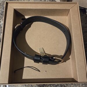 Black Leather Pet Collar with Gold Buckle